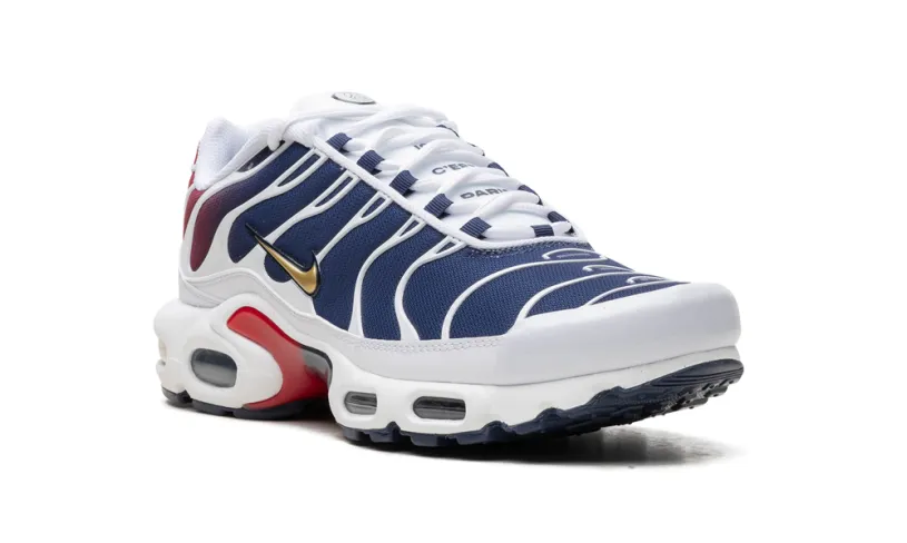 Nike Air Max Air Max Plus 'PSG'